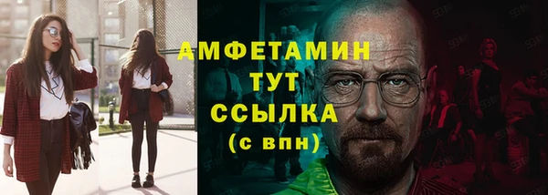 индика Балахна