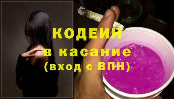 индика Балахна