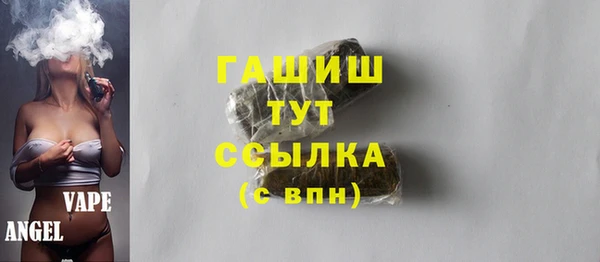 индика Балахна
