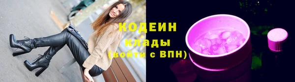 индика Балахна