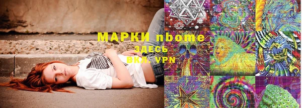 индика Балахна