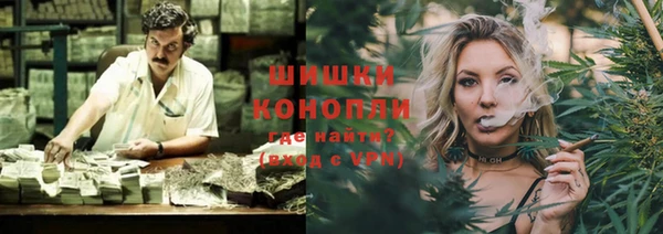 индика Балахна