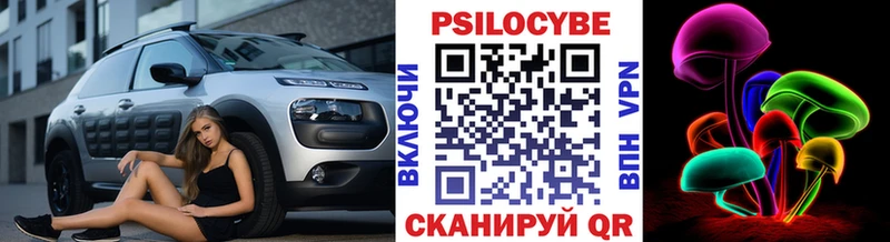 kraken tor  Зверево  Галлюциногенные грибы Psilocybine cubensis 